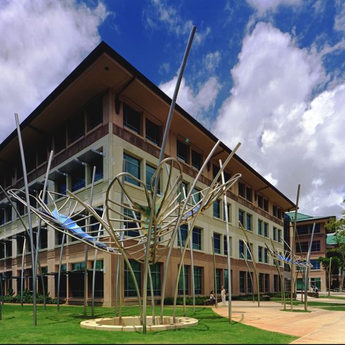 Image of Dream Leaves by Ed Carpenter