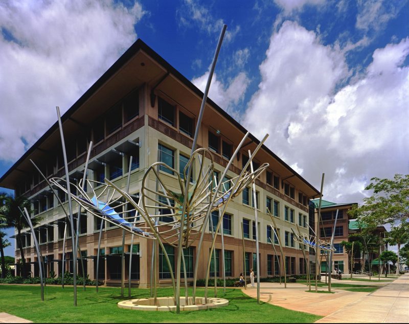 Image of Dream Leaves by Ed Carpenter