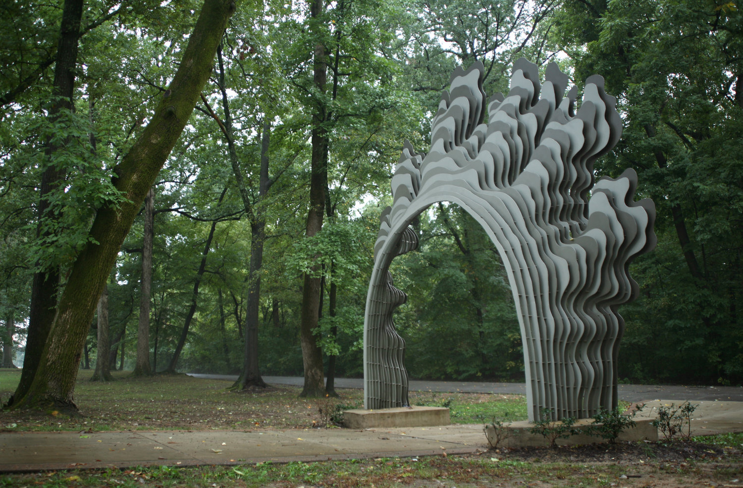 Image of Old Growth by Ben Butler