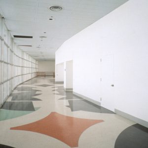 by Renée Petropoulos