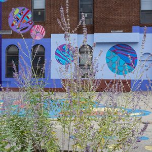 by Marion Wilson and Eurhi Jones