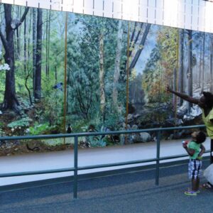 Wildlife of the Dora Kelley Nature Park by Mary Ann Warner