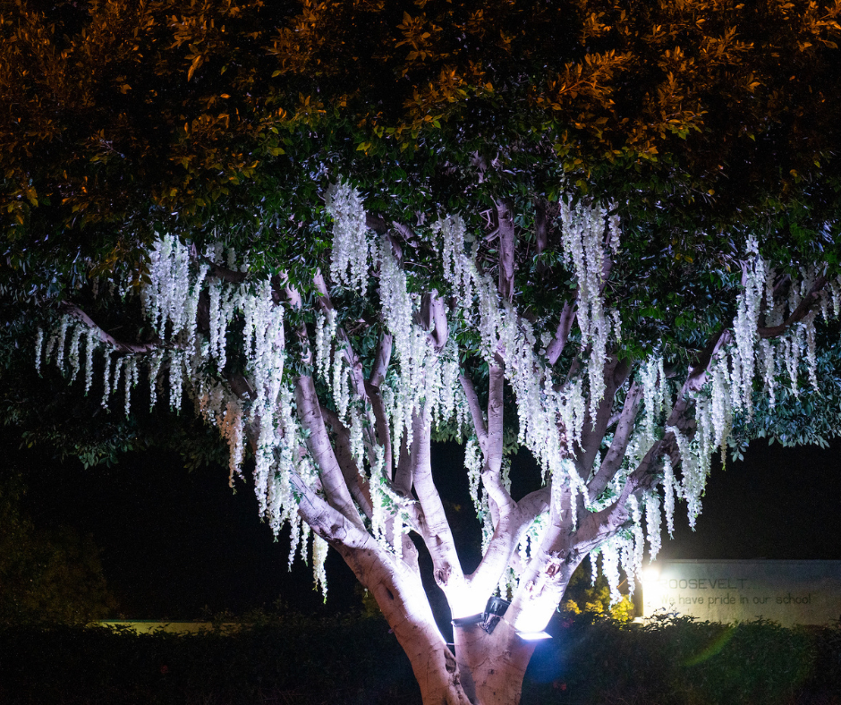 Art of Recovery Project