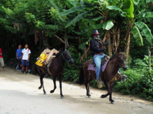 A man riding a mule with another mule carrying a pack, surrounded by dense greenery, with three young men watching nearby.