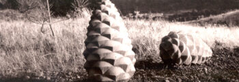 <h3>2002, Close up of the cement pinecones that are a part of the OPRD: Senator Mark O. Hatfield West Trailhead project by Anne Storrs titled Oak Leaf Pavers, Pinecones, Stoneseats</h3>